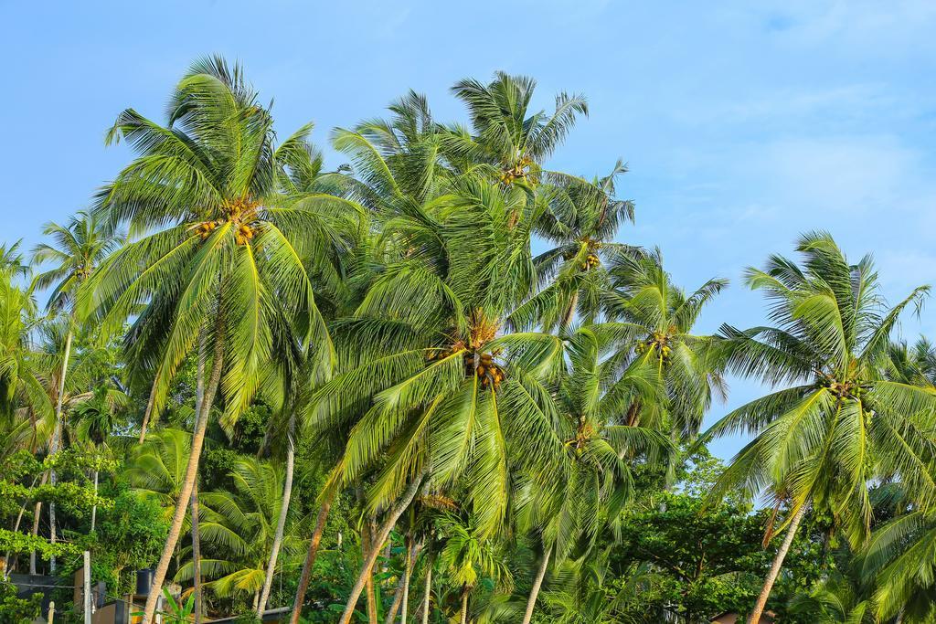 Nisala Villas Hikkaduwa Buitenkant foto
